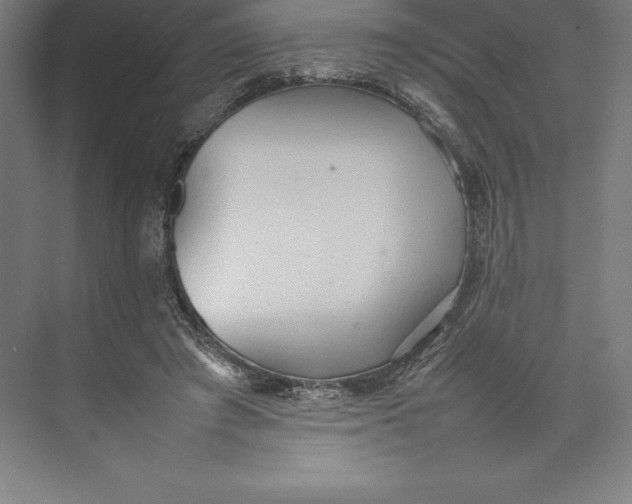 X0000074930401200609221644