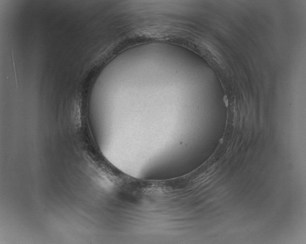 X0000074930404200609221644