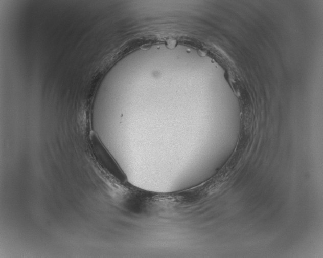 X0000074930405200609221644