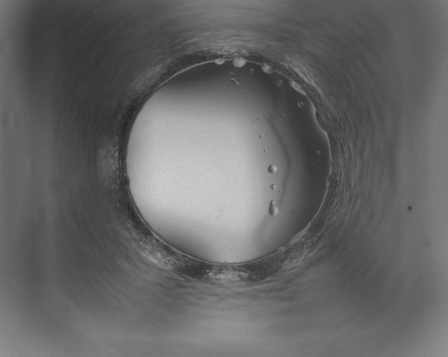 X0000074930407200609221644