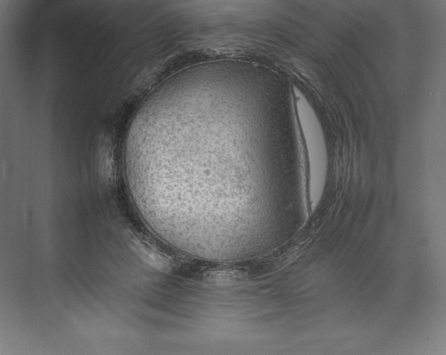 X0000074930408200609221644