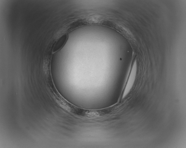 X0000074930409200609221644