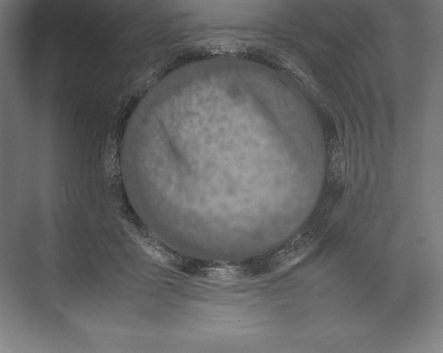 X0000074930411200609221644