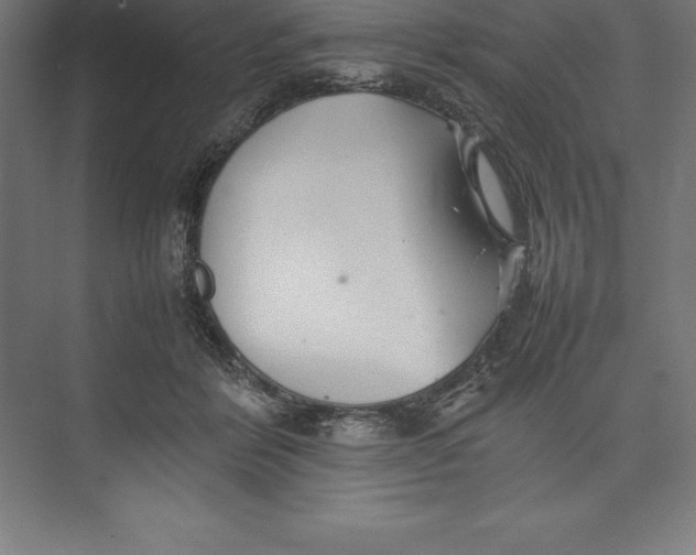 X0000074930412200609221644