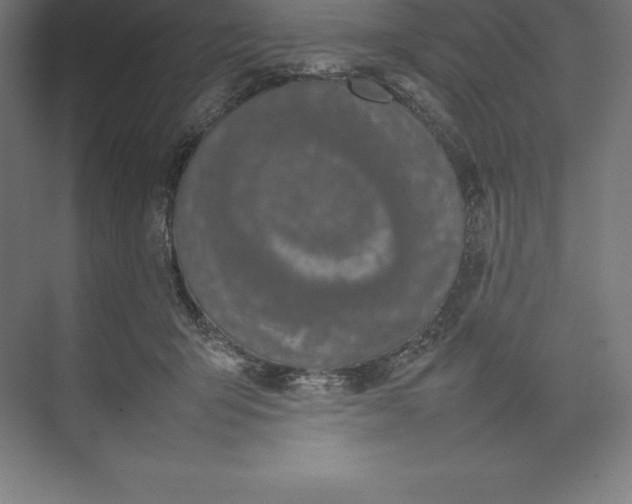 X0000074930415200609221644