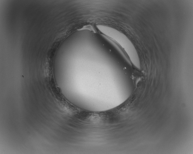 X0000074930416200609221644