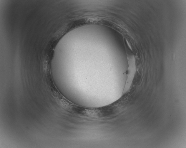 X0000074930417200609221644