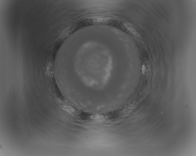 X0000074930419200609221644