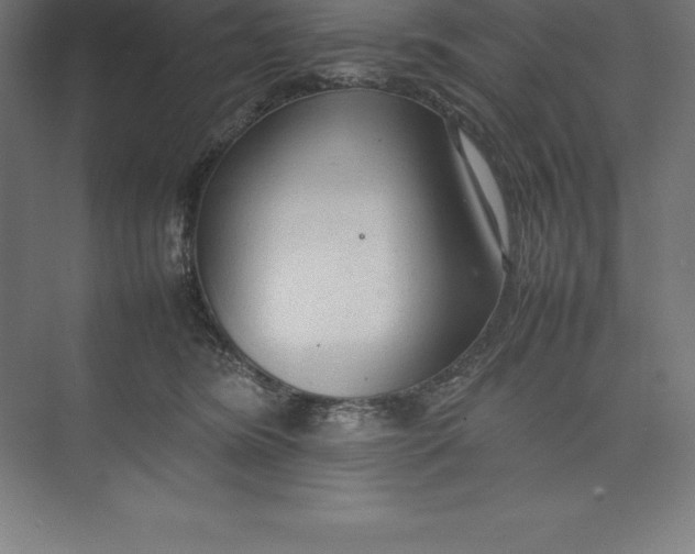 X0000074930420200609221644