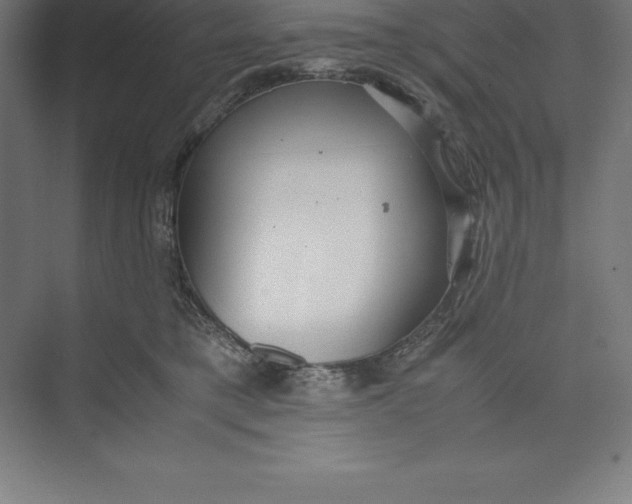 X0000074930421200609221644