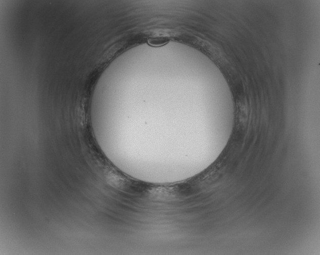 X0000074930422200609221644