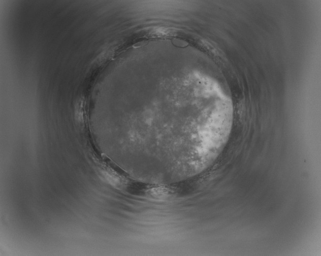 X0000074930423200609221644