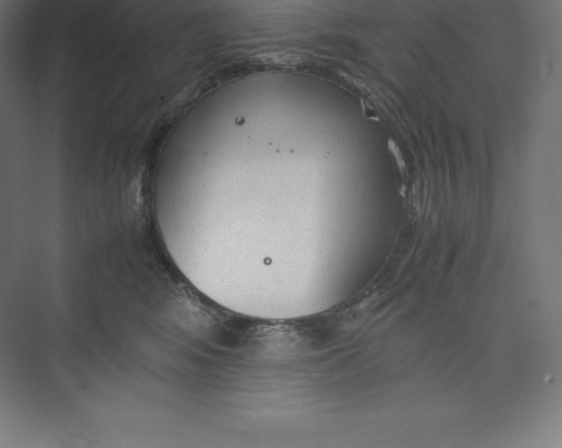 X0000074930424200609221644