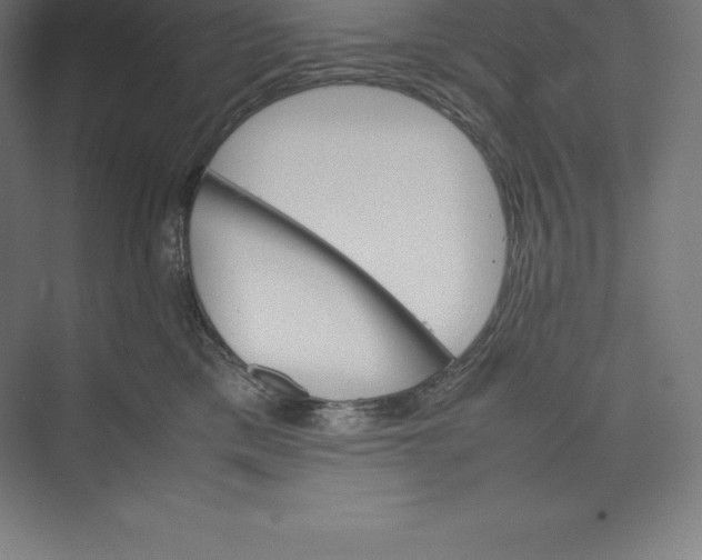 X0000074930425200609221644