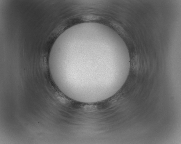 X0000074930426200609221644