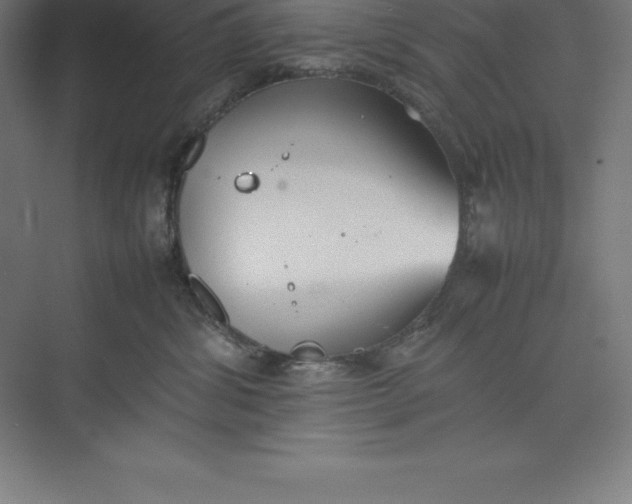 X0000074930428200609221644