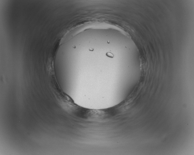 X0000074930429200609221644