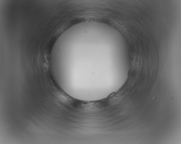 X0000074930430200609221644