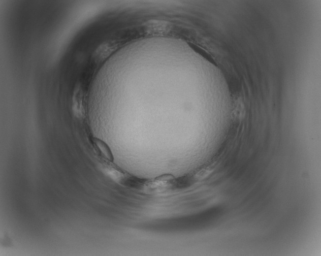 X0000074930431200609221644