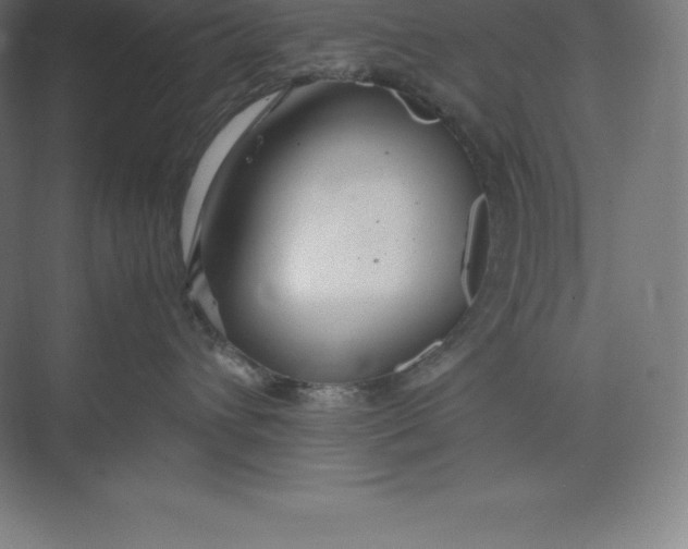 X0000074930432200609221644