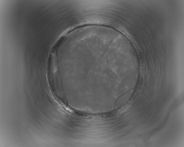 X0000074930434200609221643