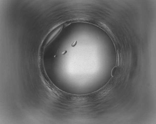 X0000074930435200609221643