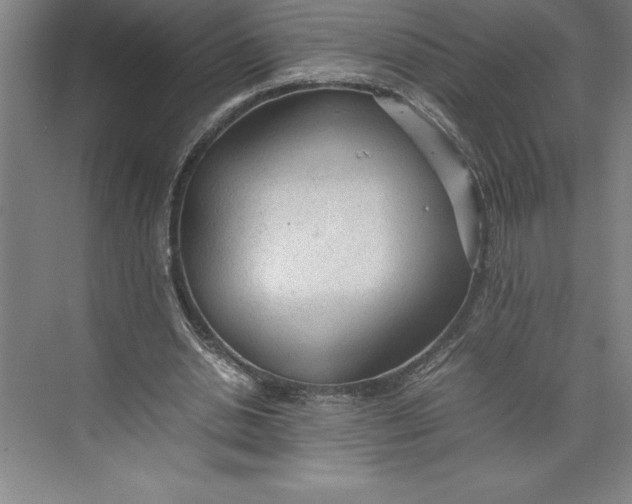 X0000074930438200609221643