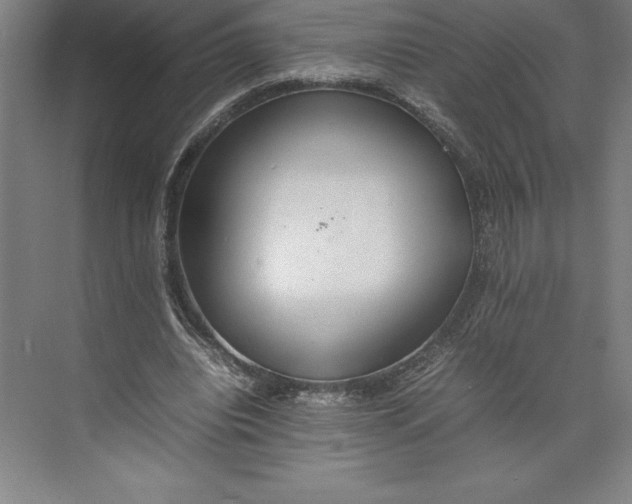 X0000074930440200609221643