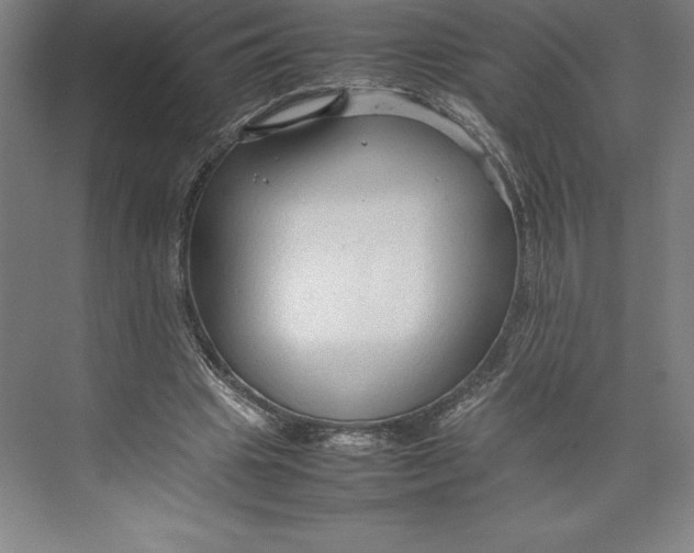 X0000074930441200609221643