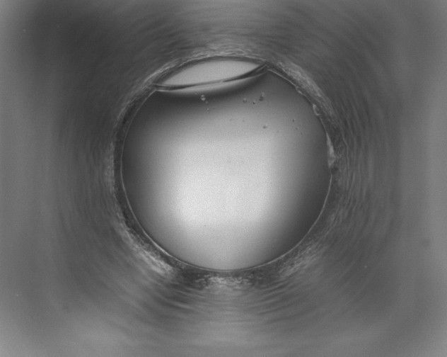 X0000074930442200609221643