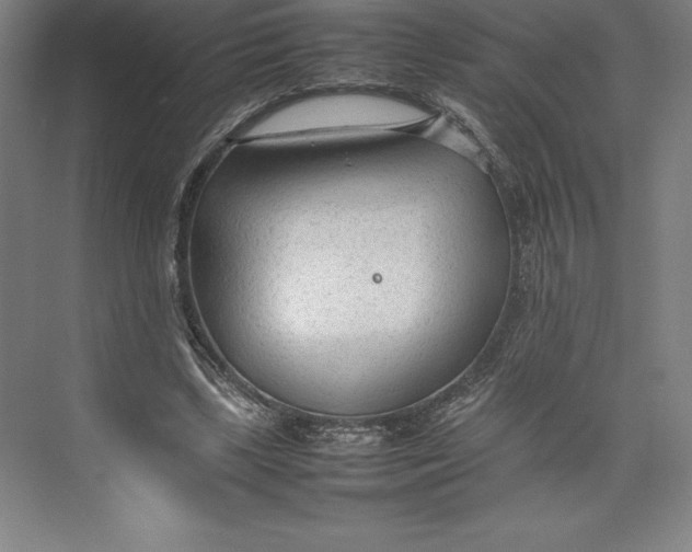 X0000074930443200609221643