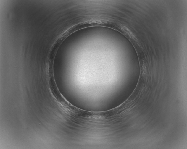 X0000074930444200609221643