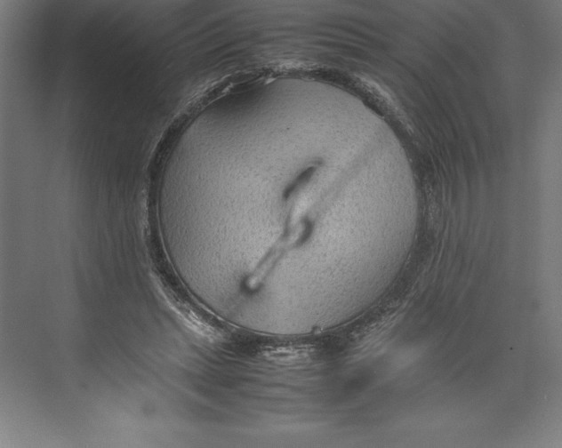 X0000074930447200609221643