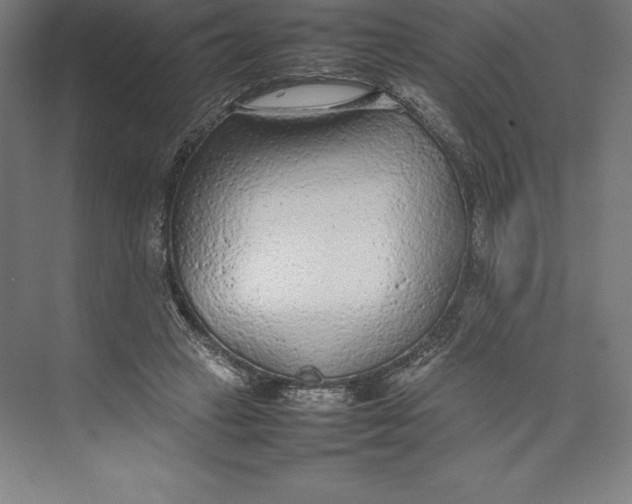 X0000074930449200609221643