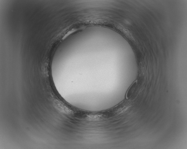 X0000074930450200609221643