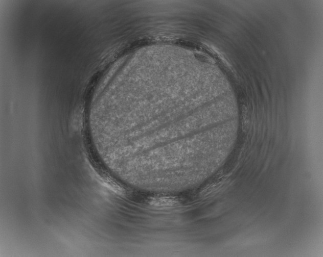 X0000074930451200609221643