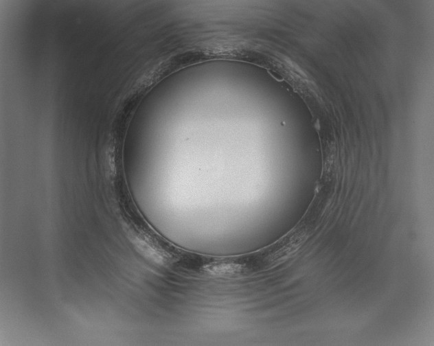 X0000074930452200609221643