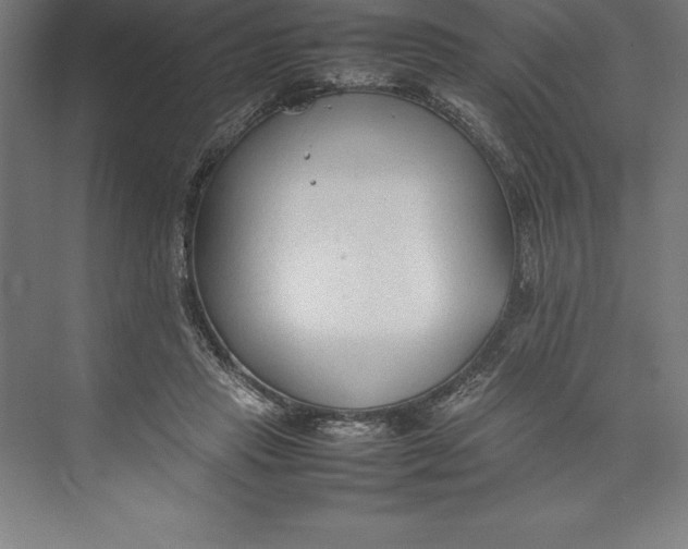 X0000074930453200609221643