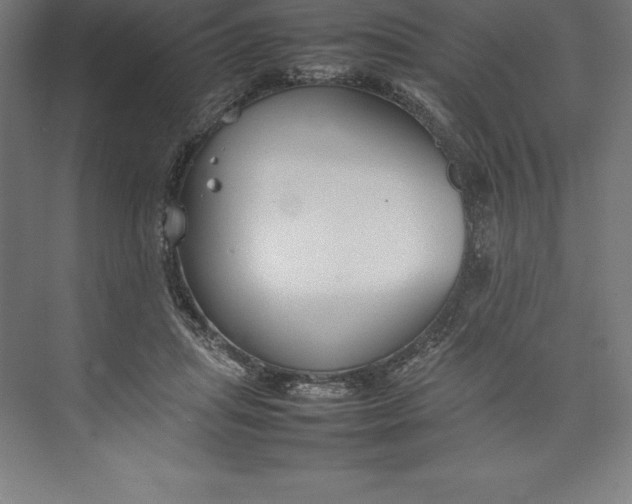 X0000074930455200609221643