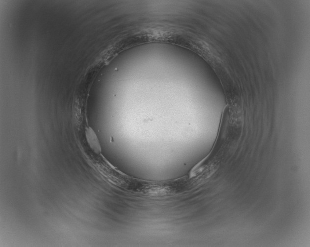 X0000074930456200609221643