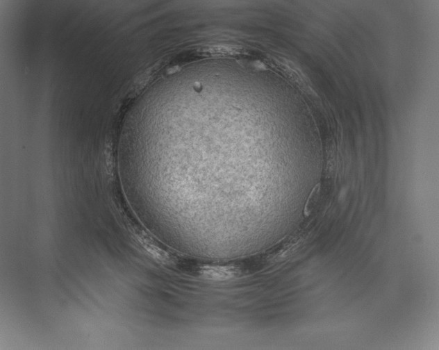 X0000074930457200609221643