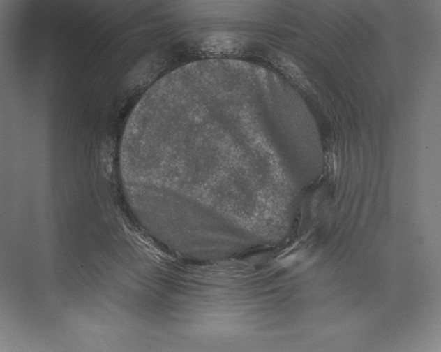 X0000074930458200609221643