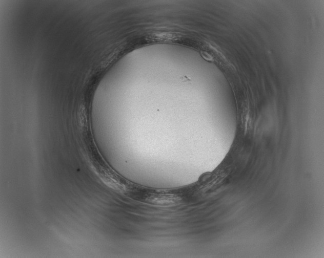 X0000074930459200609221643