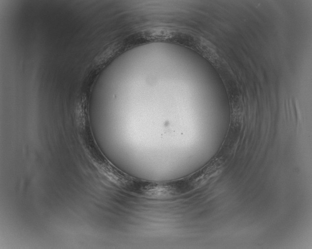 X0000074930460200609221643