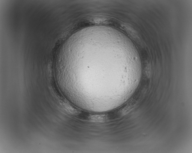 X0000074930461200609221643