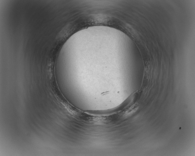 X0000074930462200609221643