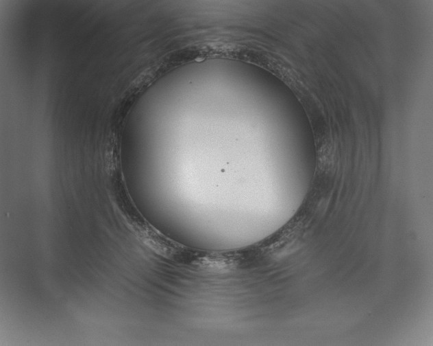 X0000074930464200609221643