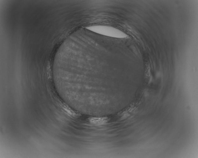 X0000074930465200609221643