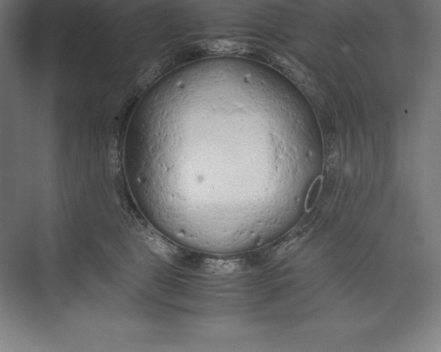 X0000074930469200609221643