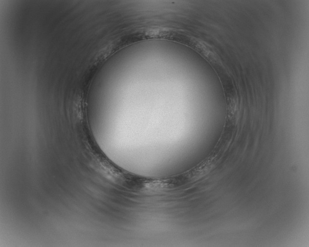 X0000074930470200609221643